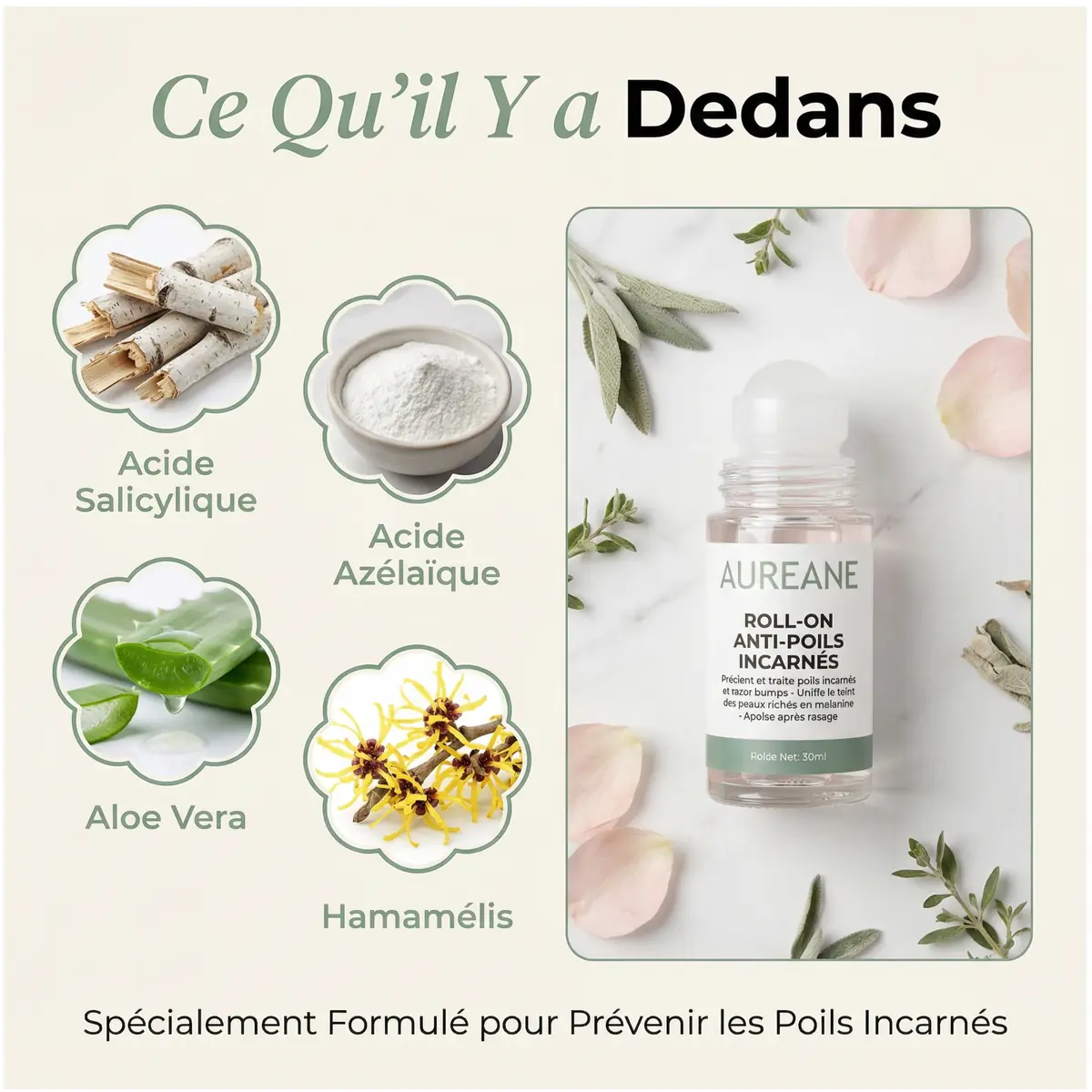 Actifs clés du Pack Zéro Poils Incarnés